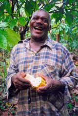 Producteur de cacao biologique  Saint-Domingue vendu sur ethicgourmand.fr