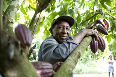 Producteur de cacao biologique vendu sur ethicgourmand.fr